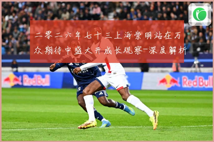 二零二六年七十三上海崇明站在万众期待中盛大开成长观察-深度解析