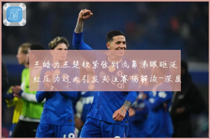 王皓为王楚钦紧张到流鼻涕眼眶泛红压力过大引发关注赛场解读-深度解析